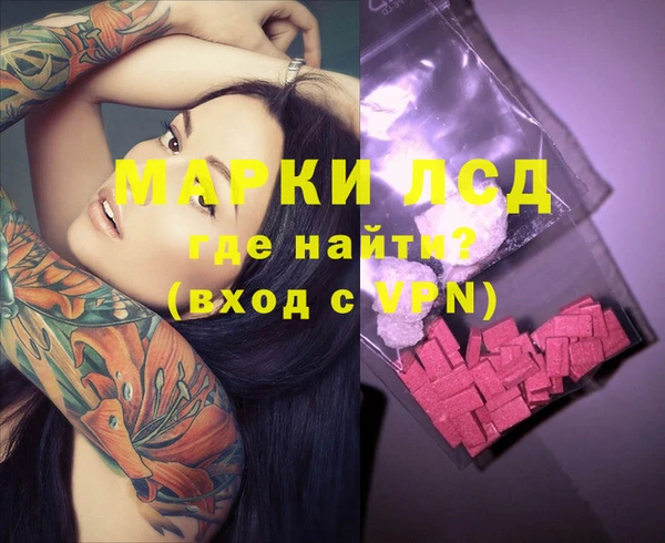 PSILOCYBIN Аркадак