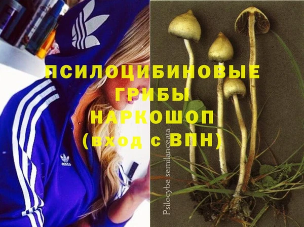 дживик Арсеньев