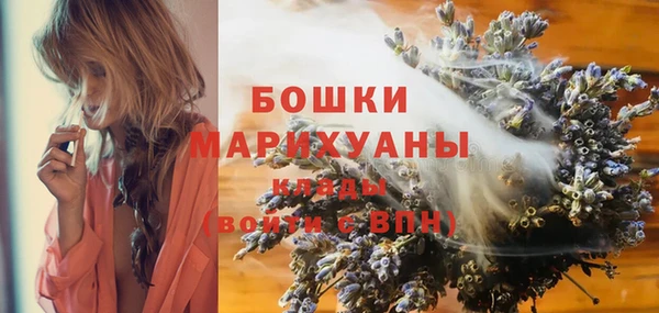 дживик Арсеньев